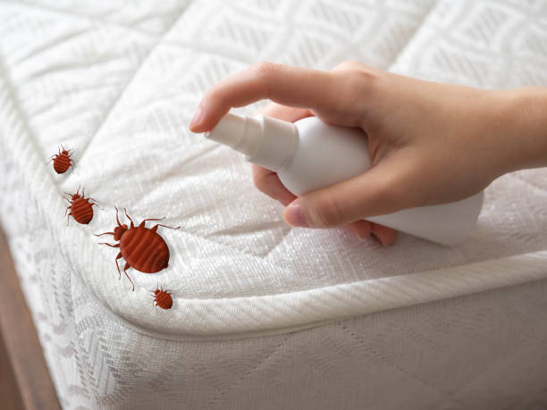 Pest Control for Hotels in Upper Saddle River, NJ